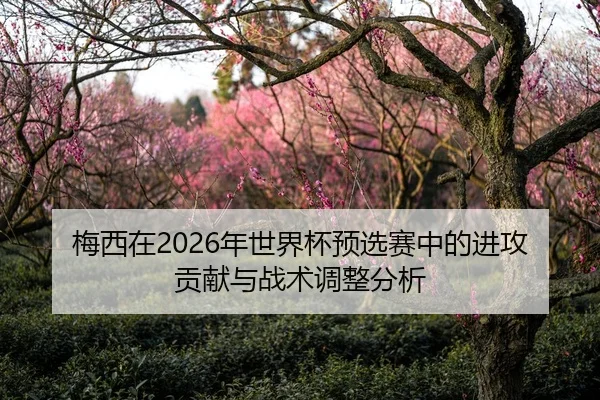 梅西在2026年世界杯预选赛中的进攻贡献与战术调整分析