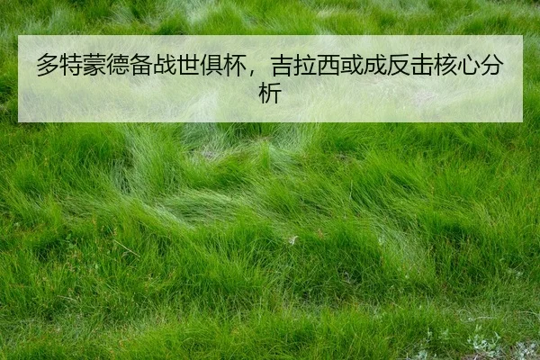 duo-te-meng-de-bei-zhan-shi-ju-bei-ji-la-xi-huo-cheng-fan-ji-he-xin-fen-xi-2-140.jpg