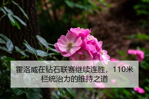 霍洛威在钻石联赛继续连胜，110米栏统治力的维持之道