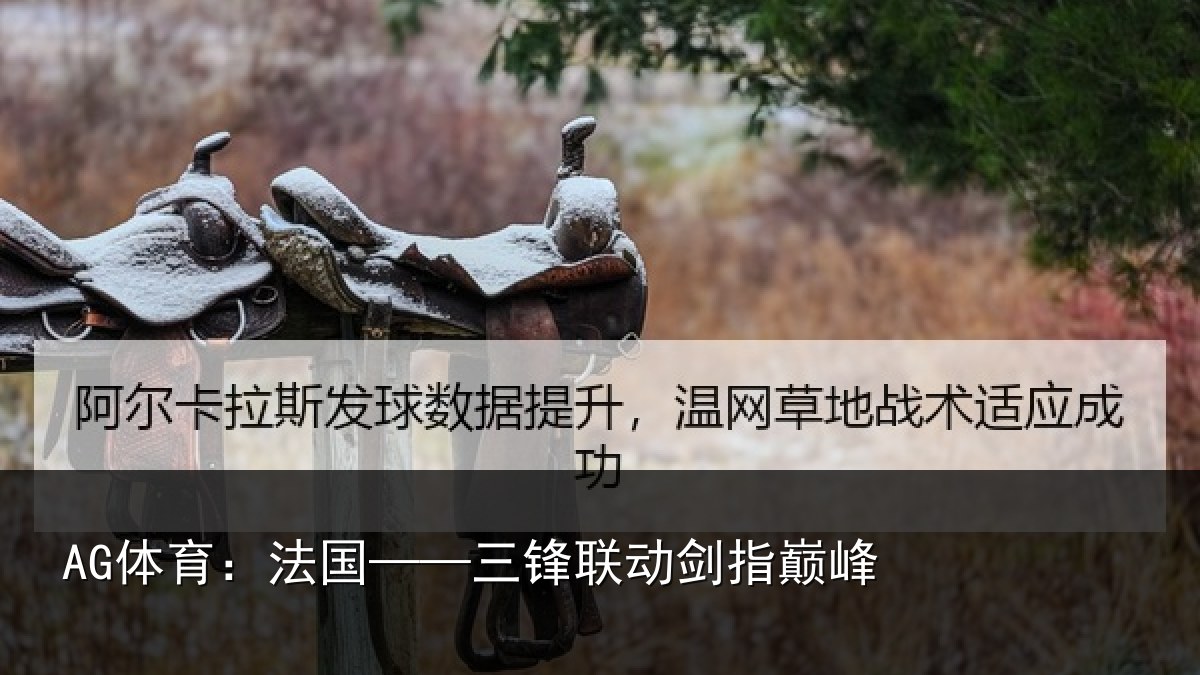 AG体育：法国——三锋联动剑指巅峰