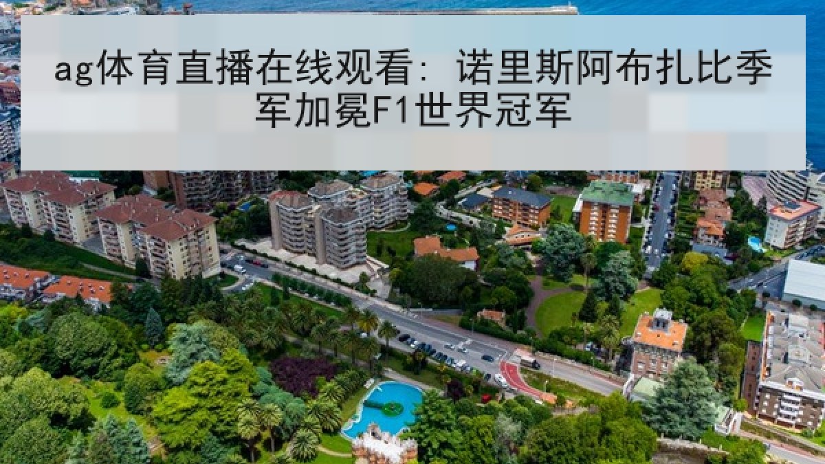 ag体育直播在线观看: 诺里斯阿布扎比季军加冕F1世界冠军