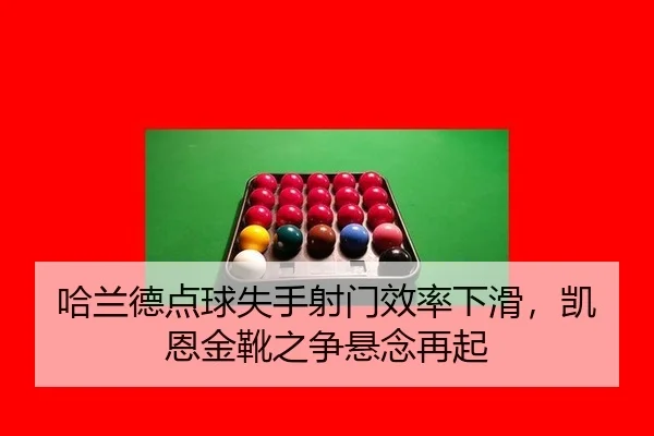 ha-lan-de-dian-qiu-shi-shou-she-men-xiao-lv-xia-hua-kai-en-jin-xue-zhi-zheng-xuan-nian-zai-qi-3-669.jpg